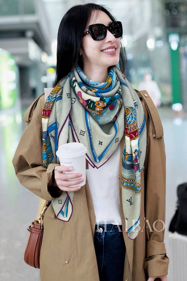 Louis Vuitton Scarf LVC00573